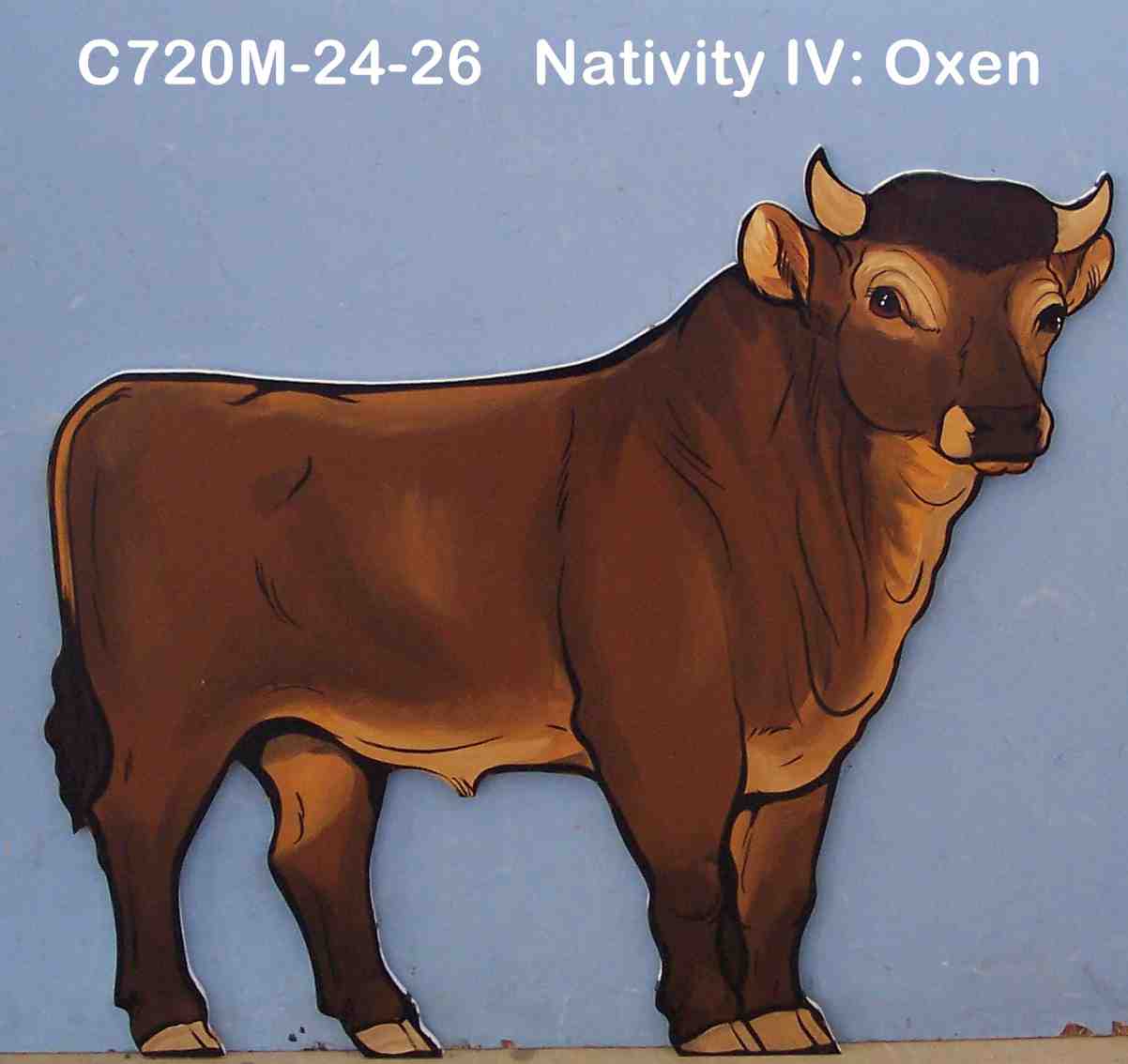 C720MNativity IV: Oxen